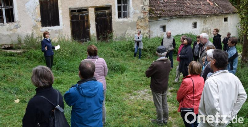 Hohenburgs Ortsheimatpflegerin Ines Kämmler (hinten links) führte eine Besuchergruppe am gestrigen Tag des offenen Denkmals zum Pfleghof. Ins dringend sanierungsbedürftige Bauwerk hinein kann man nicht - aber die Expertin ermöglichte mit ihren Erläuterungen dennoch einen Einblick.