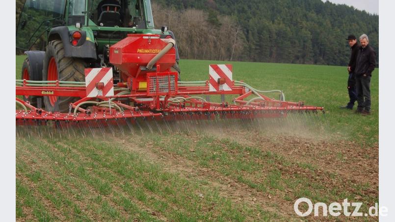 Im ökologischen Ackerbau werden die Beikräuter mechanisch zurückgedrängt. Beim &quot;Striegeln&quot; hängt der Erfolg ab vom richtigen Zeitpunkt, der optimalen Geräteeinstellung und der passenden Fahrgeschwindigkeit.
