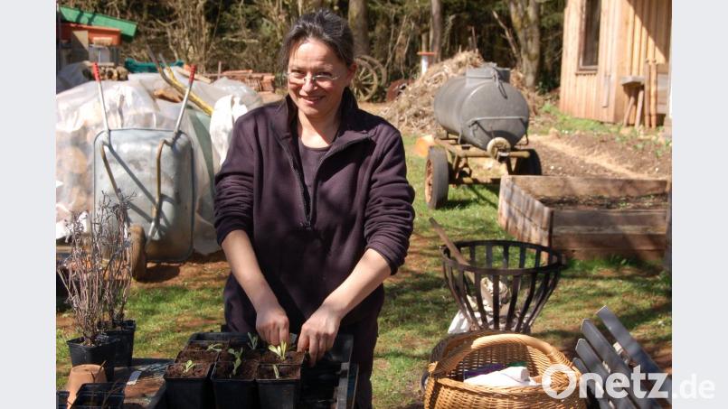 Gärtnermeisterin Tanja Götz engagiert sich als Mitglied von „Arche Noah e.V.“ für den Erhalt alter Gemüsesorten. In ihrem Garten fördert Sie neben der Sortenvielfalt bewusst auch die Insektenvielfalt und gibt ihre Erfahrungen an Interessierte weiter.