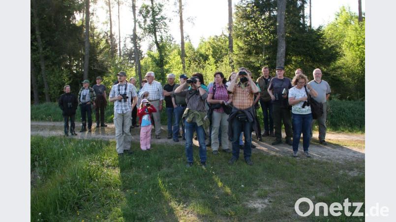 Gut beraten war man, wenn man sein Fernglas mitgenommen hatte. Damit wurde die Wanderung mit Naturschützer Erwin Möhrlein (4. von rechts) zu einem echten Erlebnis für Auge und Ohr. Bild: wro