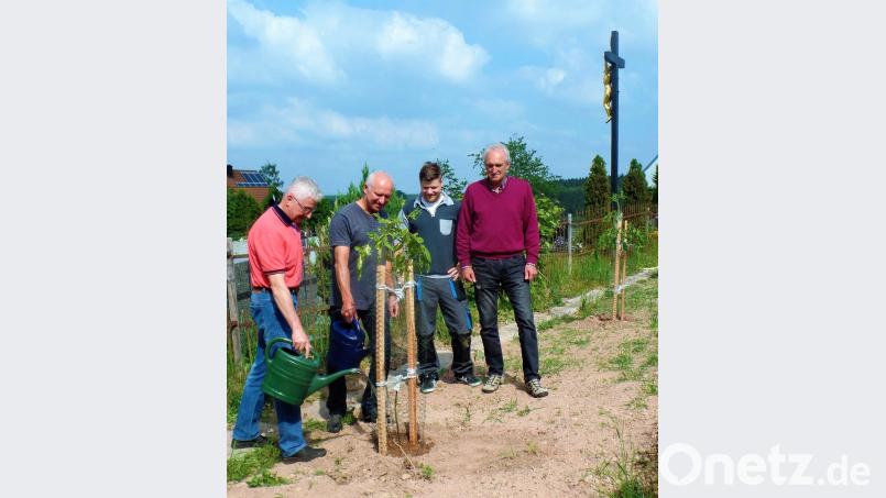 Jetzt noch kräftig angießen, dann ist die Arbeit vorerst geschafft. Kirchenpfleger Leonhard Steinsdörfer und die Bienenzüchter Josef Bertelshofer, Benjamin Hagler und Bernd Bauer (von links) freuen sich, dass Insekten auf dem Blühstreifen oberhalb des katholischen Friedhofs bald reiche Nahrung finden können.  	Bild: jml