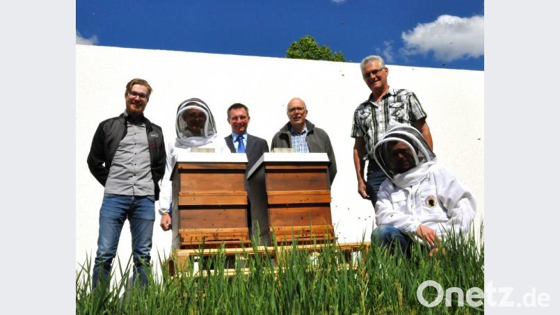 Stadtwerke-Geschäftsführer Stephan Prechtl (Dritter von links) war sofort begeistert von der Idee des Bee-Sharings.  	Bild: exb