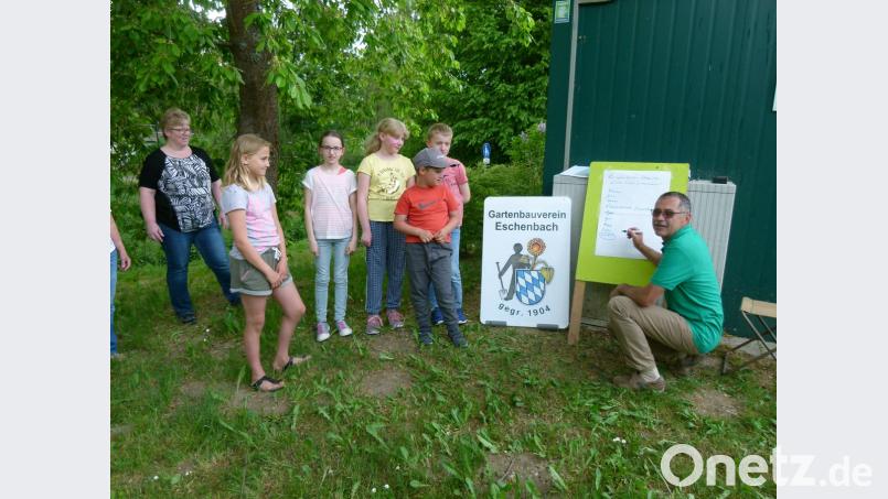 "Was bieten uns Streuobstwiesen?" fragte Hans Rupprecht die Kinder.