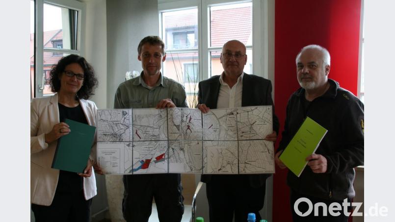 Bürgermeisterin Friederike Sonnemann (von links) erhält die neu erstellte Forstbetriebsplanung von Andreas Geiger (forstlicher Sachverständiger), Forstdirektor Johannes Weber vom Amt für Ernährung, Landwirtschaft und Forsten aus Tirschenreuth und Johannes Bradtka, Revierleiter in Kemnath.  	Bild: fpoz