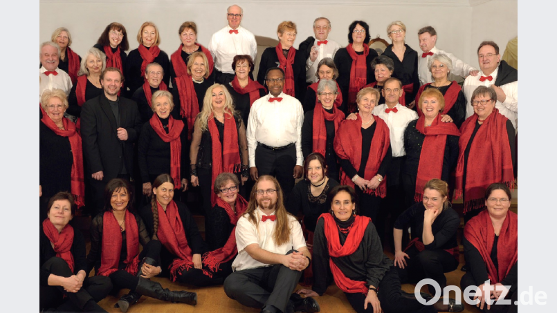 Das "Wiener Vokalensemble" singt am Pfingstsamstag in der Waidhauser Pfarrkirche. Bild: fjo Forster, Josef