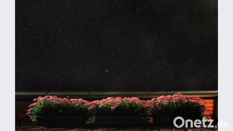 Symbolbild: Karl-Josef Hildenbrand/dpa