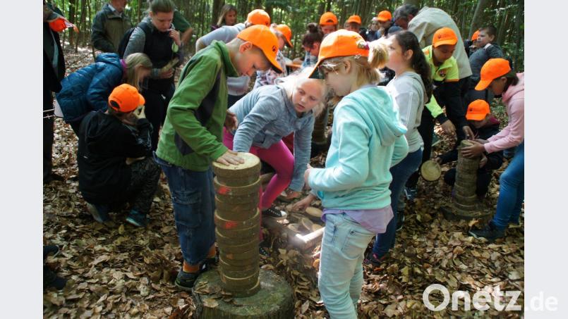 Die richtigen Baumscheiben mussten aufeinandergesetzt werden, einstürzen durfte der Turm auf keinen Fall.