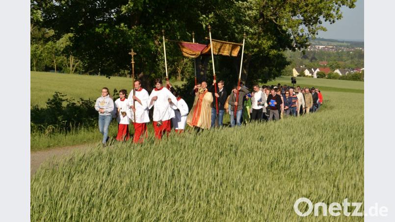 Durch reich tragende Getreidefelder führte die Flurprozession von St. Josef nach Tröglersricht.  	Bild: hcz