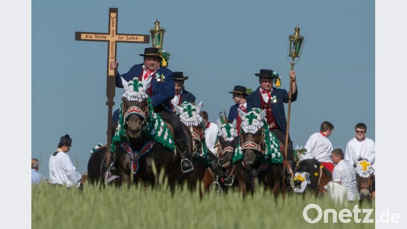 Teilnehmer des Kötztinger Pfingstritts reiten mit ihren Pferden hinter einem Feld. Die Prozession mit rund 900 Reitern zählt zu den ältesten bayerischen Brauchtumsveranstaltungen. Bei dem Bittgang im Sattel von prächtig geschmückten Pferden pilgern die «Männerleut» von Bad Kötzting zur rund sieben Kilometer entfernten Nikolauskirche in Steinbühl. Armin Weigel/dpa