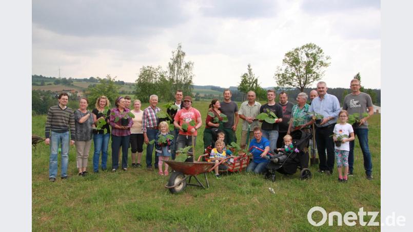 Der Kürbiswettbewerb im Bürgerpark läuft. Wer hat am Ende den größten? Bilder: den (3)