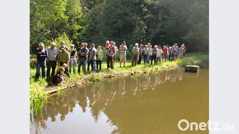 Über 40 Jagdgenossen und Waldbauern nehmen mit Jagdpächter Josef Strobl an der Revierbegehung von Schnaittenbach-West teil.  	Bild: sh