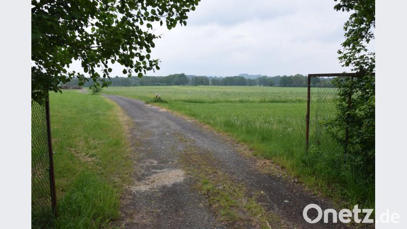 Auf der ehemaligen Bauschuttdeponie nahe Höflas sollte der PV-Park der &quot;Neue Energien West eG&quot; entstehen. Nun stehen die Planungen mit dem Breitbandausbau im Konflikt.	Bild: mde