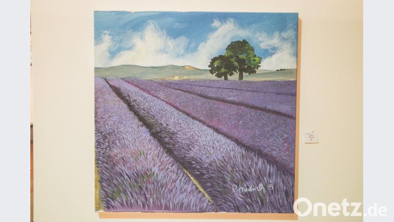 Ein Landschaft zum Träumen: Künstler Roman Friedrich lässt den Lavendel in sanftem Lila blühen.  	Bilder: Meister (8)