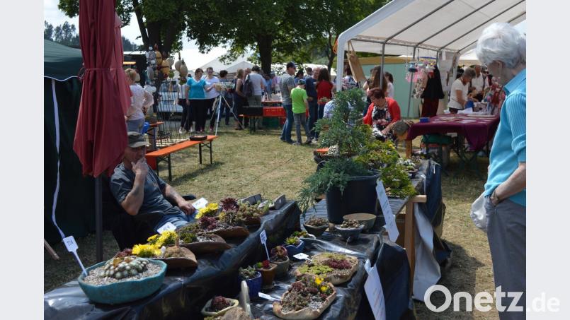 Beim Kunsthandwerkermarkt gab es Praktisches und Dekoratives zum Anschauen und zum Kaufen.  	Bilder: bej (2)