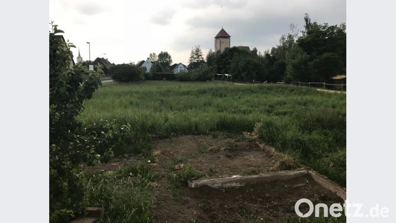 Eine Fläche im Schatten der Burg Dagestein am Ortseingang von Axtheid soll im Zuge des Projekts &quot;Essbare Stadt&quot; mit Obstbäumen und Beerensträuchern aufgewertet werden.	Bild: e