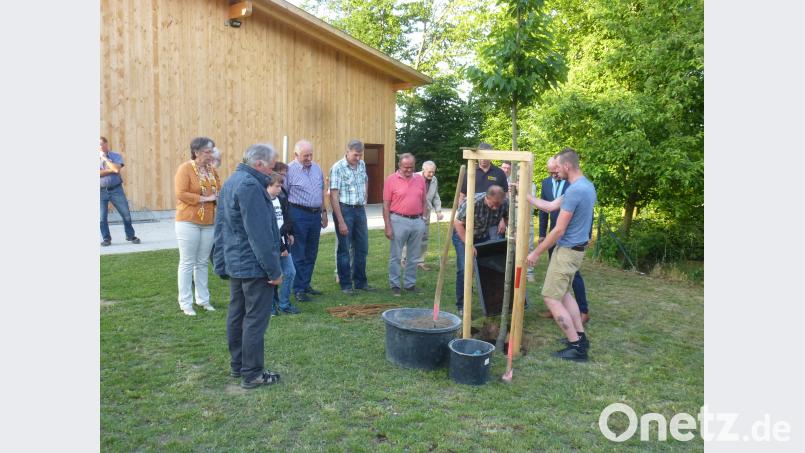 Als „Erinnerungsbaum“ wurde vor dem Stodl eine Marone gepflanzt. Sie ist heuer der „Baum des Jahres“. mad