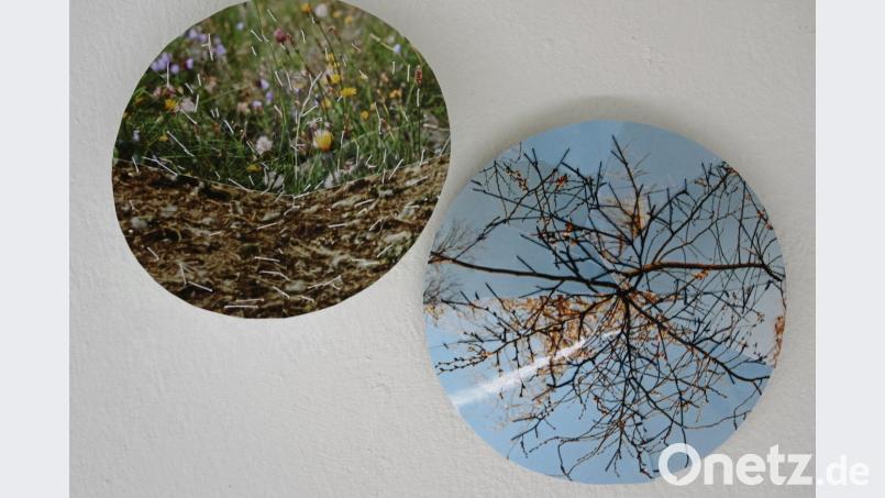 Die aus Fotos zusammengenähten Collagen der Südkoreanerin Gisoo Kim zeigen "neue Landschaften". Susanne Wolke