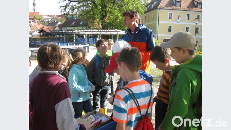 Horst Schwemmer vom Bund Naturschutz begleitet die Kinder auf ihrer Exkursion durch den Stadtpark. Beitrag, Externer [EXB] (kontakt@oberpfalznetz.de)