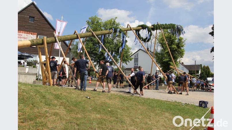 Viel Kraft und Schweiß forderte das Aufstellen des Baumes. Bild: ral