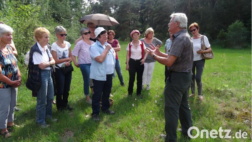Hermann Gnahn führt die Wandergruppe um Markusine Guthjahr (Bildmitte) zu einer Orchideenwiese. hka