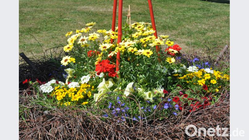 Die bunte Blütenpracht erfreut die Herzen. Die Damen im städtischen Bauhof haben einen grünen Daumen. dob