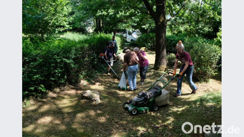Ohne Unterbrechung, knapp drei Stunden lang, engagieren sich zehn freiwillige Helfer des Waldvereins und leisten Sanierungs- und Pflegearbeit am "Primusblick". le