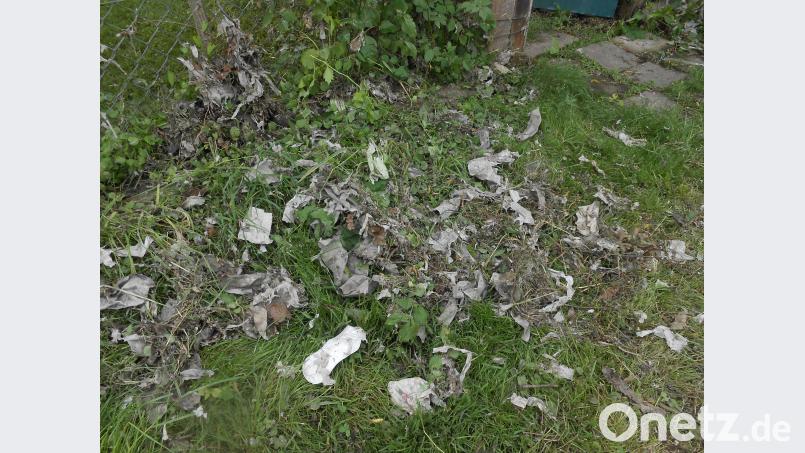 Toilettenpapier, Damenbinden, Hygieneartikel. Kunz