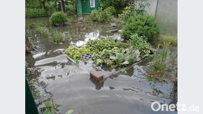 So fand das Ehepaar Prögel am Dienstag seinen Garten vor. Kunz