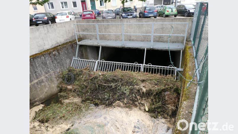 Der Biberdamm wurde von den Wassermassen fortgeschwemmt und verfing sich dann im Sieb. Kunz