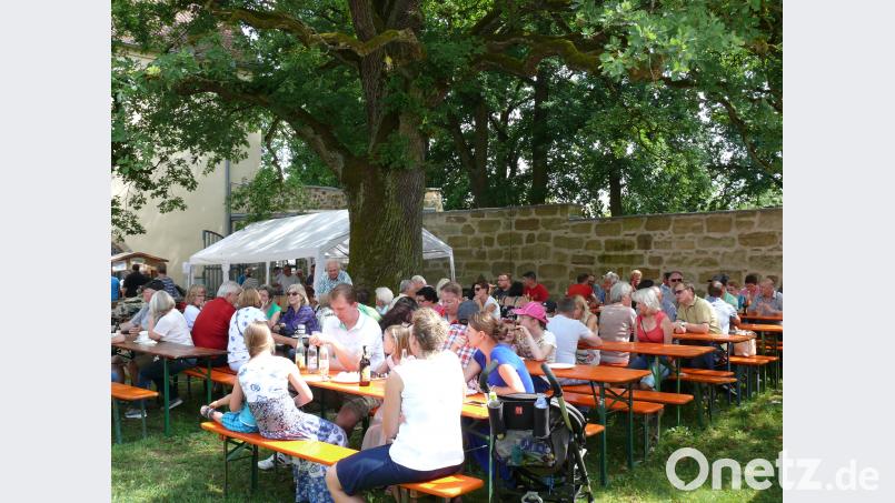 Die Besucher machten es sich bei sommerlichem Wetter unter der alten Eiche gemütlich. abu