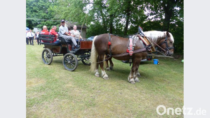 Die Pferde &quot;Fritz&quot; und &quot;Max&quot; ziehen die Kutsche. Die Rundfahrten sind bei den Besuchern des Dorffests sehr beliebt. sl