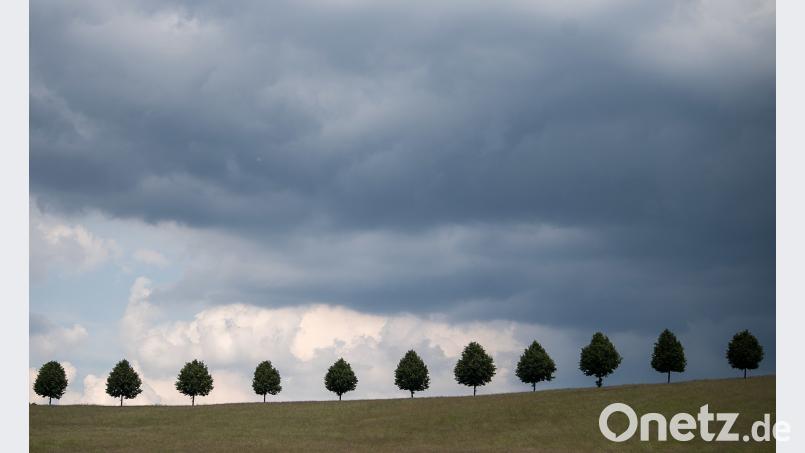Symbolbild Sebastian Gollnow/dpa