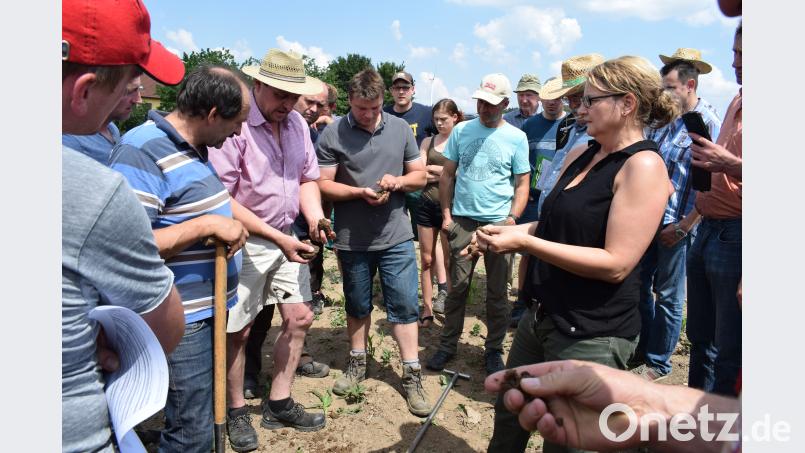 Die Bewertung der Bodenstruktur wird nach genau festgelegten Kriterien vorgenommen. Dr. Andrea Beste vergibt die Gefügenote. . bnr