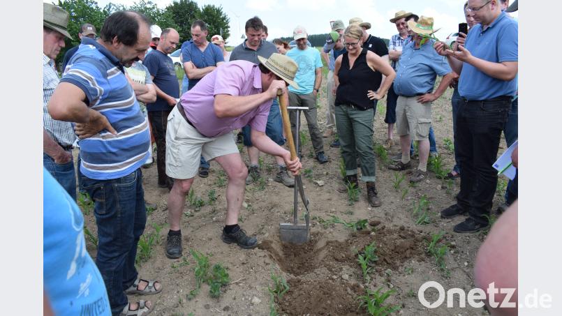 Die Entnahme eines "Bodenziegels" erfordert eine genaue Vorgehensweise. bnr