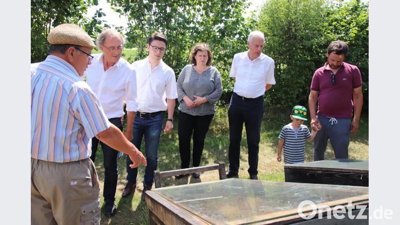 Imker-Vorsitzender Hermann Bronold (links) führte die Gäste aus der Politik auf dem Gelände des Lehrbienenheims herum. Dobler, Thomas [TD] (thomas.dobler@oberpfalzmedien.de)