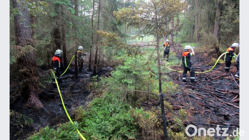 Rund zwei Stunden dauerte der Waldbrand-Einsatz, zu dem die Feuerwehren aus Wiesau und Schönhaid-Leugas in den „Schneiderschlag“ gerufen wurden. Dabei gestalteten sich die Löscharbeiten schwieriger als gedacht. Feuerwehr Wiesau/exb