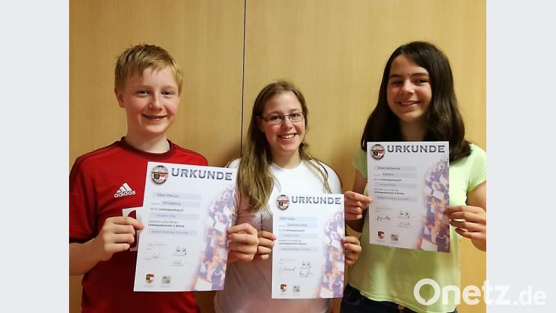 Marcus Eibel (von links), Katja Wölfl und Katharina Eibel erhalten Urkunden und Bronzeabzeichen. rgr