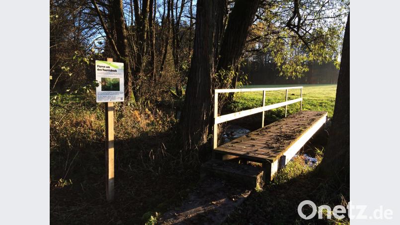 Fünf Infotafeln sind am Speichersdorfer Naturlehrpfad verschwunden. hai