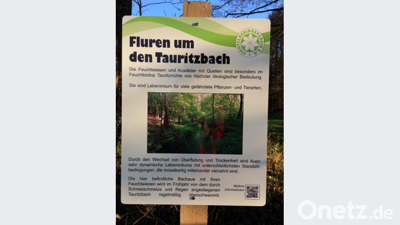 Fünf Infotafeln sind am Speichersdorfer Naturlehrpfad verschwunden. hai