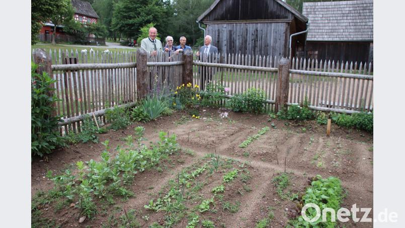 Bezirkstagspräsident Franz Löffler, Freilandmuseum-Chefin Birgit Angerer, Bauhofleiter Christian Wundsam und Vize-Landrat Arnold Kimmerl (von links) am Zaun zum Mustergarten der Pfreimder Schüler im Freilandmuseum. Thomas Dobler