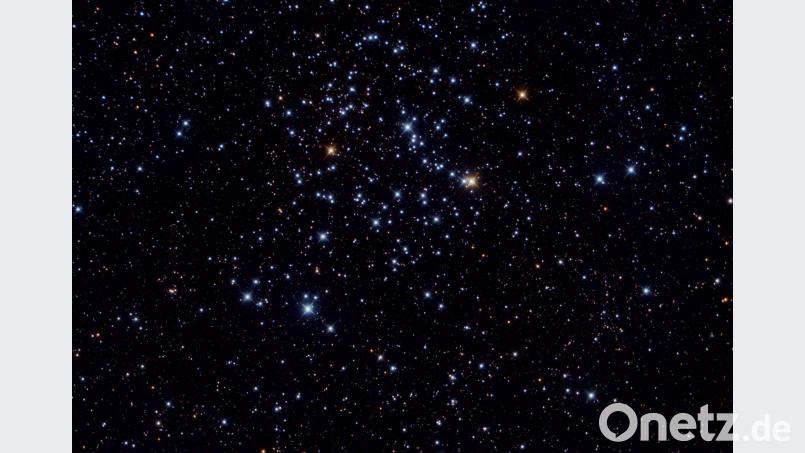 Der offene Sternhaufen M35 im Sternbild Zwillinge. Herrmann Schieder