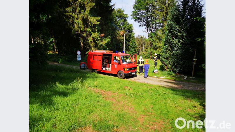 Eine morsche Baumkrone fällt in einem Waldgebiet am Ortsrand von Neudorf auf eine Stromleitung. Es fliegen Funken, der Baum fängt Feuer. Die Feuerwehr hat die Lage aber schnell unter Kontrolle. td
