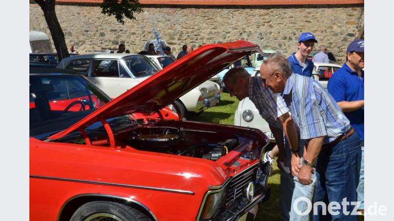 Bei den 19. "Vohenstrauß-Classics" an der Friedrichsburg dürfen die Besucher wieder staunen. Dobmayer, Elisabeth [DOB]