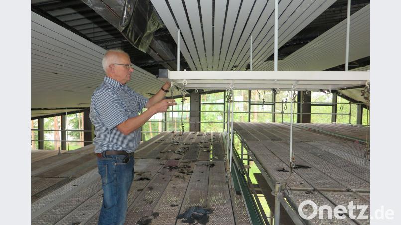 Das mittlerweile 40 Jahre alte Hallenbad erhält eine komplett neue LED-Innenbeleuchtung für 60 000 Euro. Hirsch