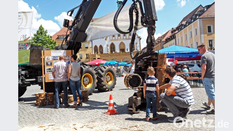 Der kleine Mann und der große Harvester: Auch solche Maschinen kommen zur Instandhaltung des Hirschwalds zum Einsatz und sorgen am Marktplatz bei Groß und Klein für Staunen. Petra Hartl