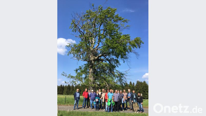 Als Ausklang der beiden Tage war eine acht Kilometer lange Wanderung Richtung Hermannsreuth angesagt. Mit dabei waren Tschechen und Deutsche. Der ehemalige Griesbacher Lehrer Manfred Güntner, dessen Eltern aus einem Bauernhof im Ortsteil Baderwinkel stammen, berichtete von der 200 Jahre alten, nach dem Hausnamen benannten „Muasn“-Buche neben dem Hof seiner Familie. cr