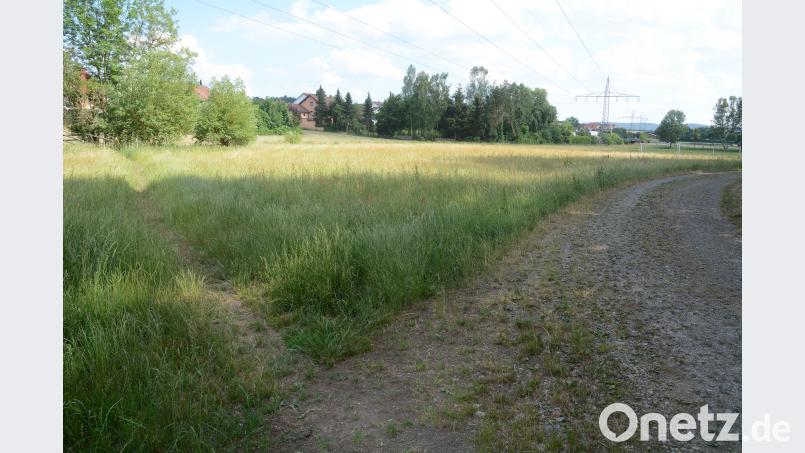 Am rechten Bildrand plant die Gemeinde ein neues Feuerwehrhaus, in der Bildmitte wohnt der Kläger, dem dieses Vorhaben gar nicht passt - selbst dann nicht, wenn die gesamte Wiese im Vordergrund als Überflutungsraum bleiben sollte. Bild: Schönberger