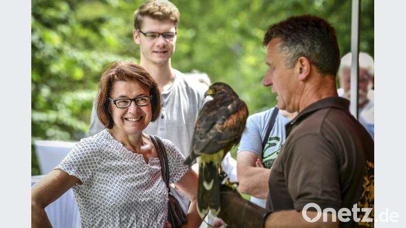 Falkner Eckard Mickisch mit einem seiner gefiederten Stars. Miedl