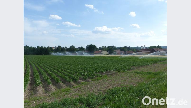 Der Regen fehlt. Vor allem bei den Frühkartoffeln bleibt den Landwirten dann nichts anderes übrig, als die Felder zu beregnen. Völkl