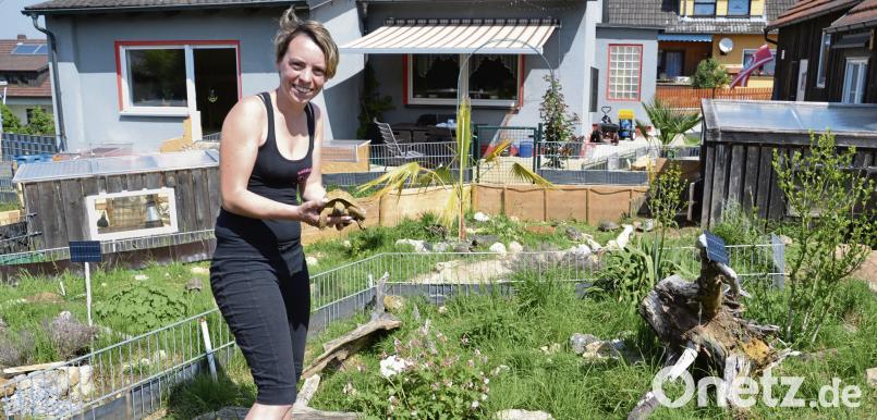 Züchterin Jennifer Kopp zeigt stolz ein rund 700 Gram schweres, zehnjähriges Männchen (griechische Landschildkröte). Die Farm erstreckt sich über den kompletten Garten der Familie Kopp. Auch der Anbau im Hintergrund (links) und das Nebengebäude (Tropenhaus, rechts) dienen als Terrain für die 12 Schildkrötenarten, die hier ihr Zuhause haben. Tobias Gräf